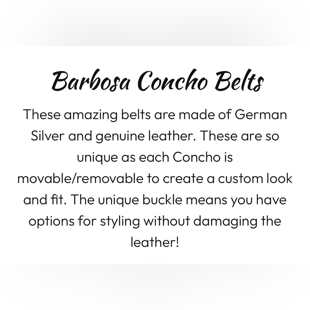 Rodeo Quincy - Barbosa Thunderbird Silver and Brown Concho Belt - Picture 6 of 16